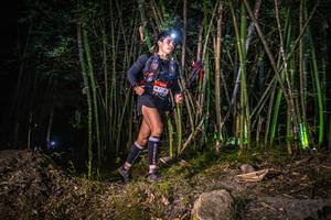 BIB: 713
                            <button type="button" onclick="openModal(6933317)" class="btn btn-primary btn-sm float-right btn-popup" data-toggle="modal" data-target=".modal-high-quality">
                        <i class="fas fa-shopping-cart"></i> Add to Cart
                    </button>
                                            <button type="button" onclick="isThisMe(6933317, true)" class="btn btn-success btn-sm float-right btn-popup btn-isme hidden" data-toggle="tooltip" data-placement="bottom" title="นี่คือรูปของคุณใช่ไหม คลิกที่นี่เพื่อเอาเข้าอัลบั้ม">
                        <i class="fas fa-plus"></i> Add to album
                    </button>
                    <button type="button" onclick="isThisMe(6933317, false)" class="btn btn-warning btn-sm float-right btn-popup btn-isnotme hidden">
                        <i class="fas fa-ban"></i> Remove from album
                    </button>